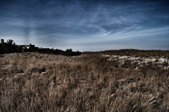 Dunes and grass at 73rd street VB