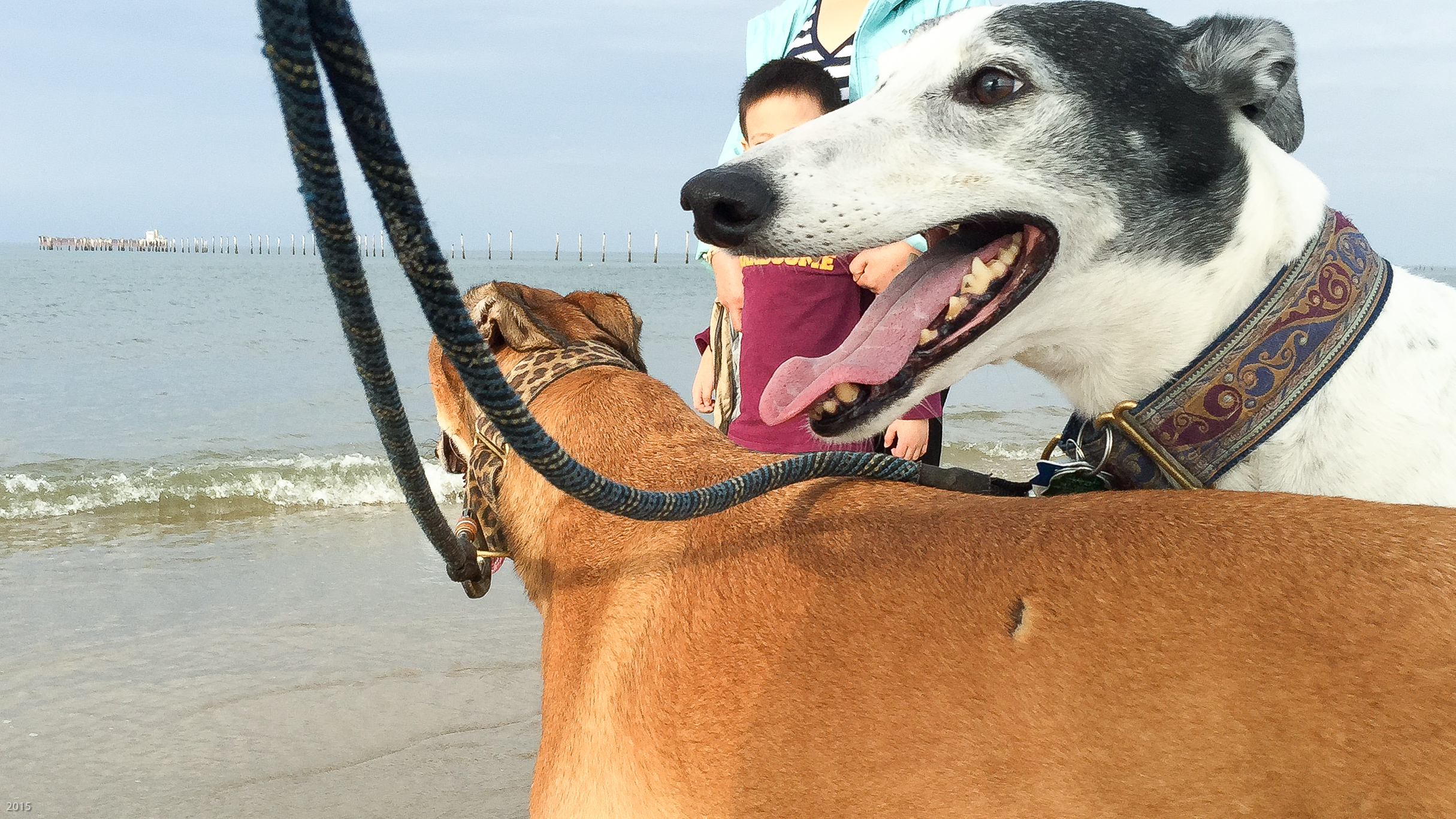 nick-and-missy-christmas-2015-1-of-1