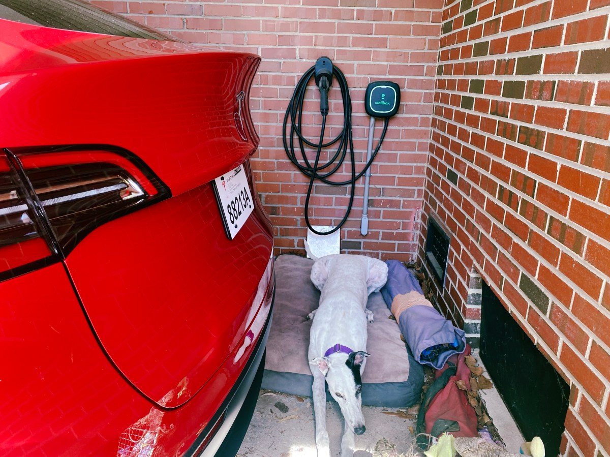 Tesla Model Y parked in the car port with a greyhound kipped out in the corner